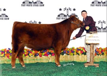 2008 National Senior Showmanship