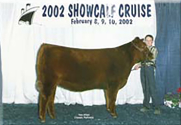 Ms Advancer of 4L R123