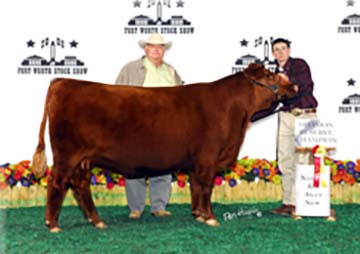 Performiss of 4L 181S