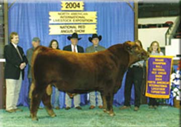 4L 323 Continuance R59N