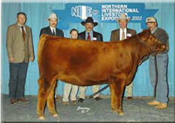 Ms Advancer of 4L RMS