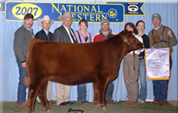 Ms Sweet Vision of 4L R548